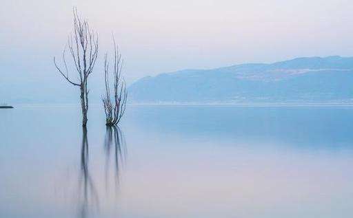 简单易懂的推特账号申请攻略